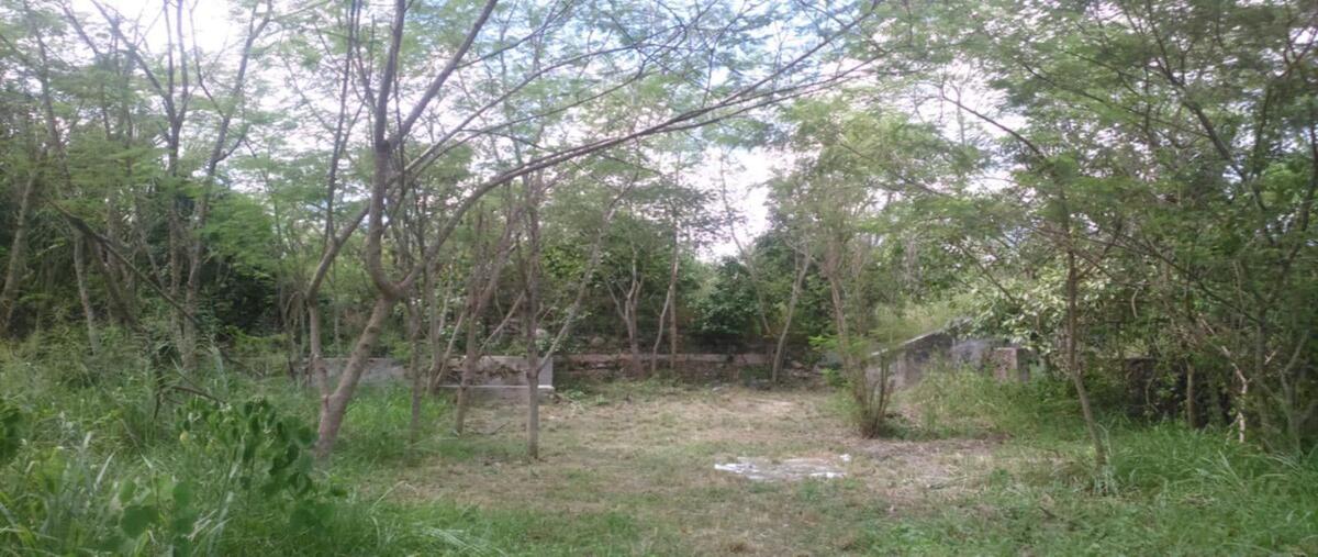 Foto de terreno habitacional en venta en mexico 261 , choyob, muna, yucatán, 0 No. 05