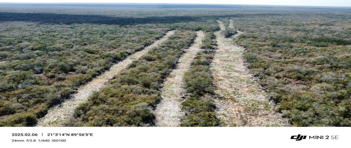 Foto de terreno habitacional en venta en méxico 28197355 piedrayuc. , hunkanab, hunucmá, yucatán, 0 No. 03