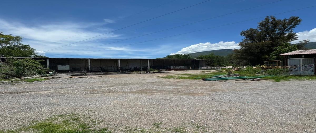 Foto de terreno habitacional en renta en  , méxico, acapulco de juárez, guerrero, 0 No. 05