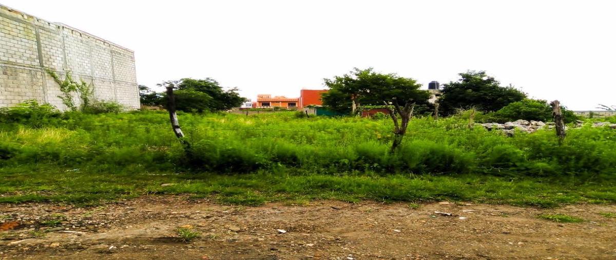 Foto de terreno habitacional en venta en  , méxico lindo, cuernavaca, morelos, 0 No. 04