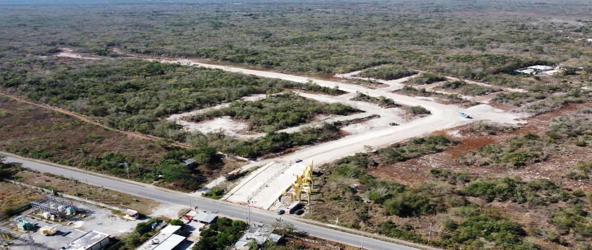 Foto de terreno habitacional en venta en  , méxico, mérida, yucatán, 30033985 No. 03