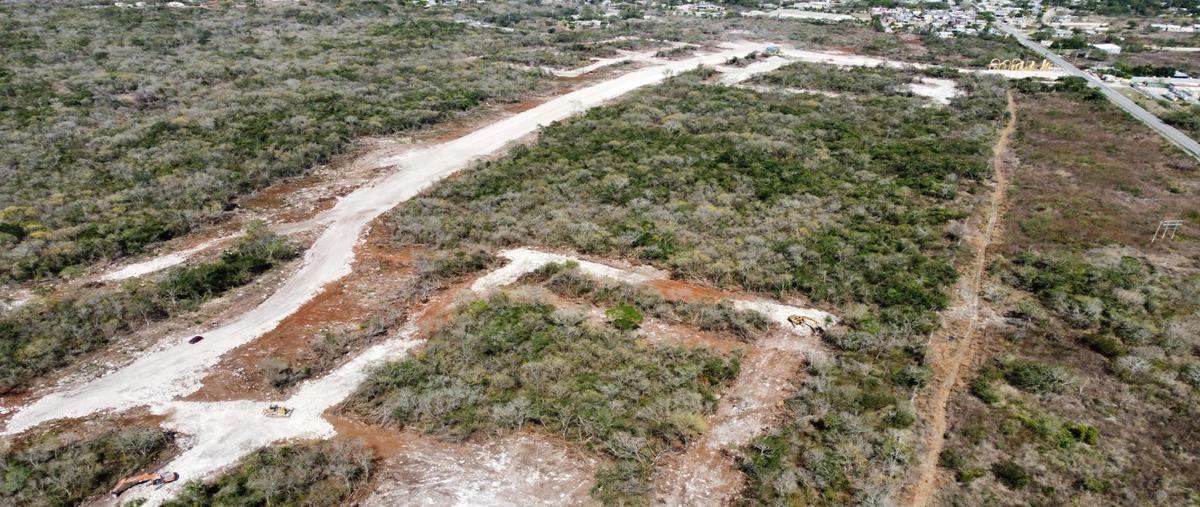 Foto de terreno habitacional en venta en  , méxico, mérida, yucatán, 30033985 No. 04
