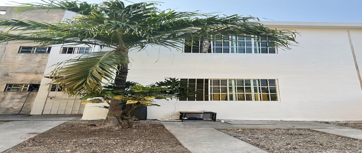 Foto de casa en renta en méxico , mundo habitat, solidaridad, quintana roo, 18620030 No. 03