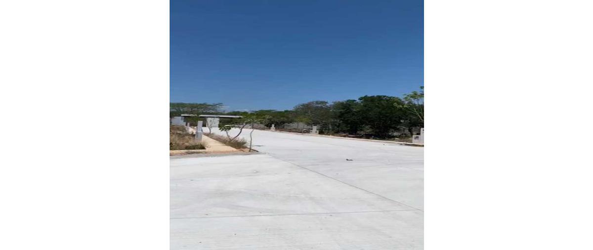Foto de terreno habitacional en venta en  , méxico norte, mérida, yucatán, 25174243 No. 03
