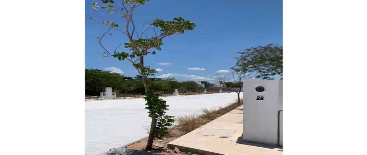 Foto de terreno habitacional en venta en  , méxico norte, mérida, yucatán, 25174243 No. 04