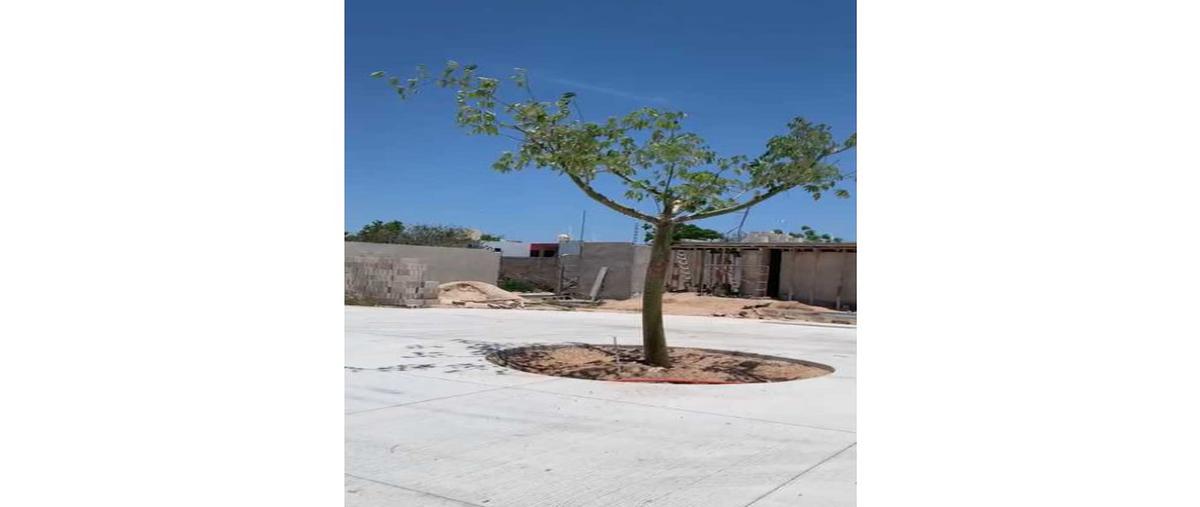 Foto de terreno habitacional en venta en  , méxico norte, mérida, yucatán, 25174243 No. 05