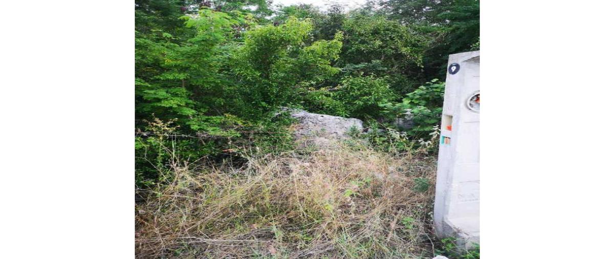 Foto de terreno habitacional en venta en  , méxico norte, mérida, yucatán, 25821131 No. 04
