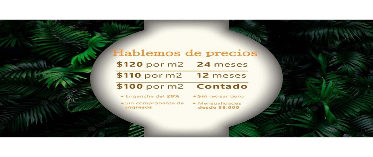 Foto de local en venta en  , méxico norte, mérida, yucatán, 25975187 No. 05