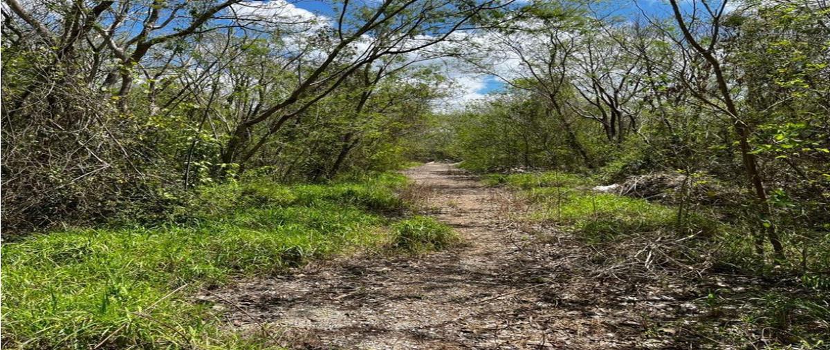 Foto de terreno habitacional en venta en  , méxico norte, mérida, yucatán, 0 No. 05
