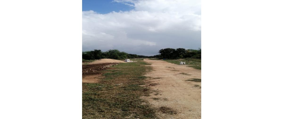 Foto de terreno habitacional en venta en  , méxico norte, mérida, yucatán, 0 No. 05