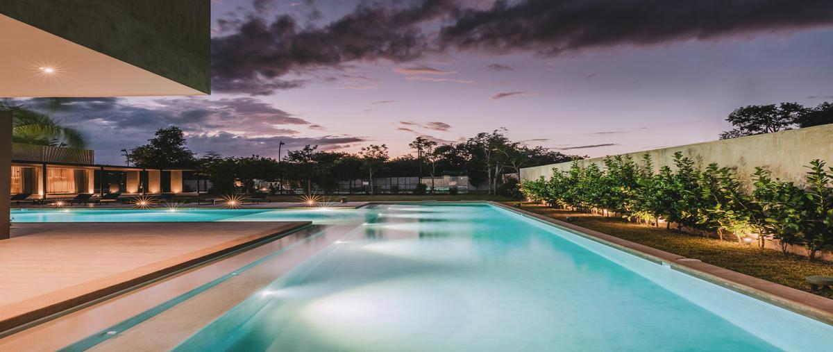 Foto de terreno habitacional en venta en  , méxico norte, mérida, yucatán, 31427102 No. 05