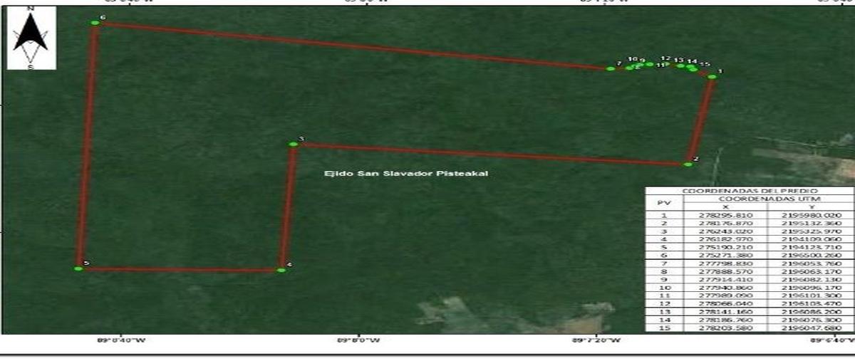 Foto de terreno habitacional en venta en  , méxico primero, tzucacab, yucatán, 0 No. 03