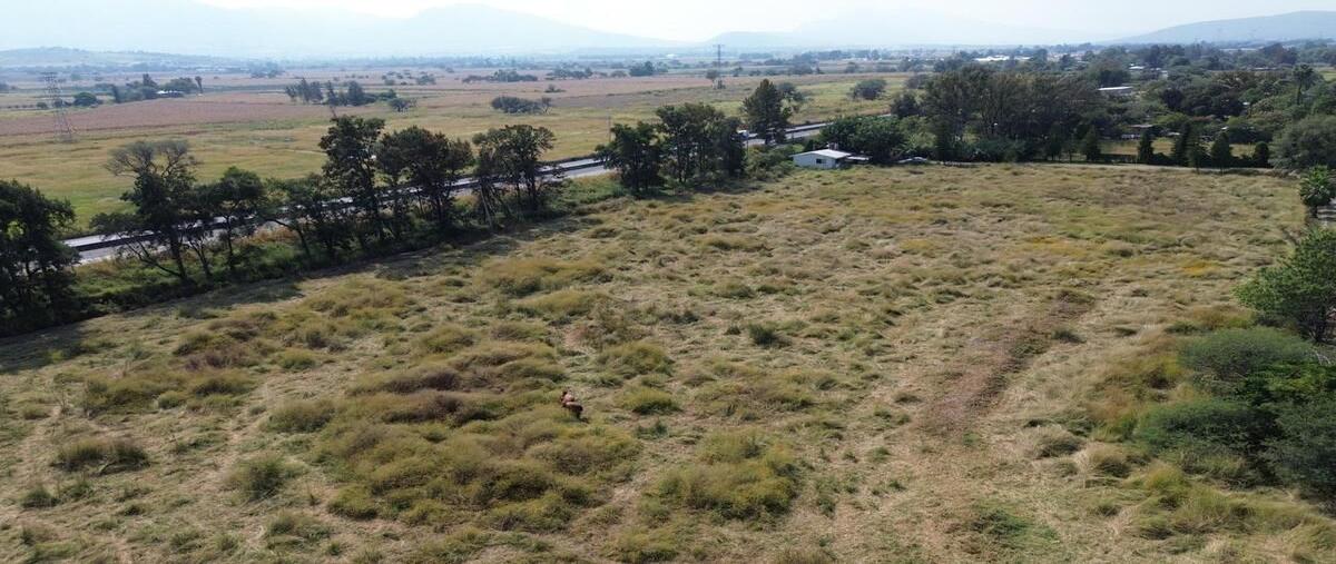 Foto de bodega en renta en mexico , santa rosa (la hacienda de santa rosa), ixtlahuacán de los membrillos, jalisco, 0 No. 04