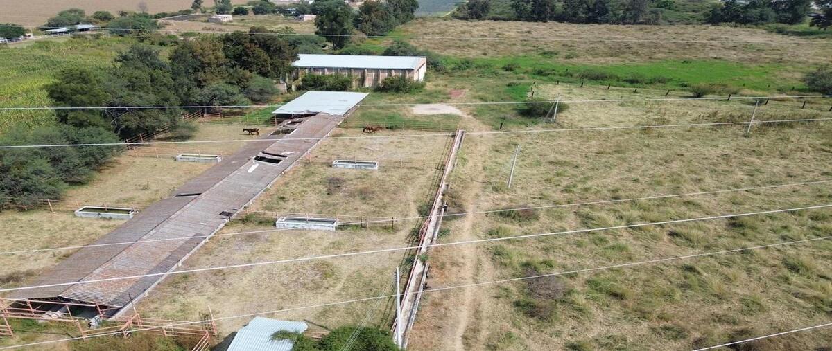 Foto de bodega en renta en mexico , santa rosa (la hacienda de santa rosa), ixtlahuacán de los membrillos, jalisco, 0 No. 08