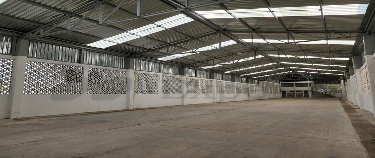 Foto de bodega en venta en  , méxico, tampico, tamaulipas, 31481977 No. 04