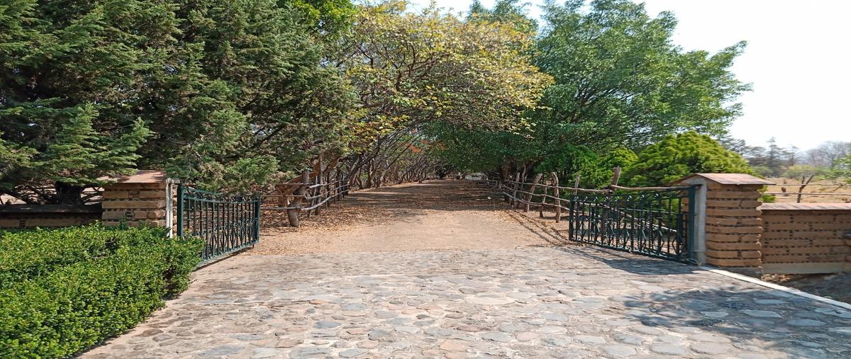 Foto de rancho en venta en  , mexquemeca, yecapixtla, morelos, 25057698 No. 04