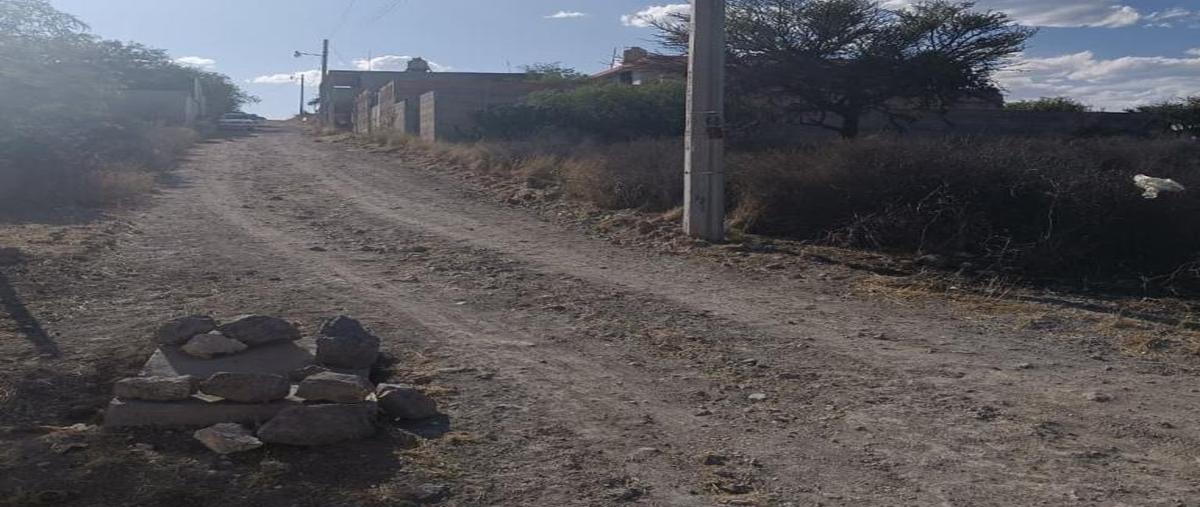 Foto de terreno habitacional en venta en  , mexquitic, mexquitic de carmona, san luis potosí, 0 No. 03