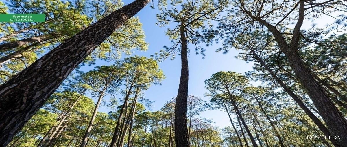 Foto de terreno habitacional en venta en mezcal manzo , los espinos, tapalpa, jalisco, 0 No. 05