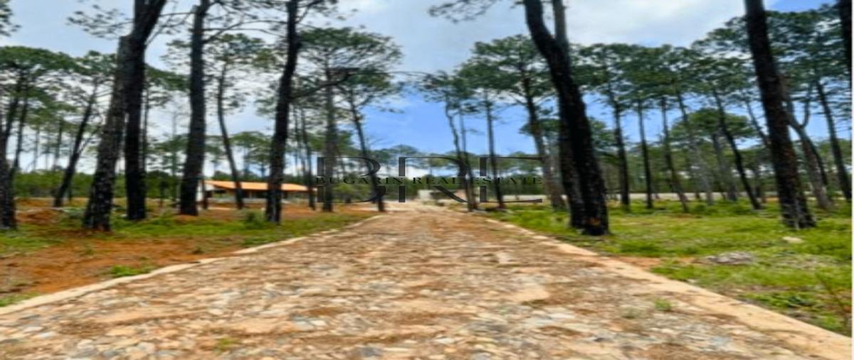 Foto de terreno habitacional en venta en mezcal manzo , los espinos, tapalpa, jalisco, 0 No. 05