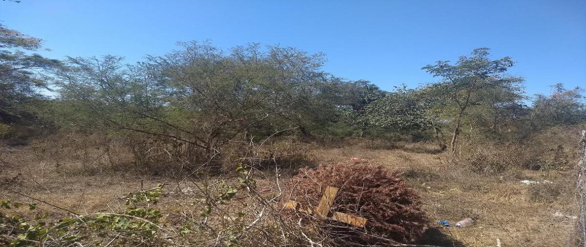 Foto de terreno habitacional en venta en mezcales 1, mezcales, bahía de banderas, nayarit, 27401721 No. 03