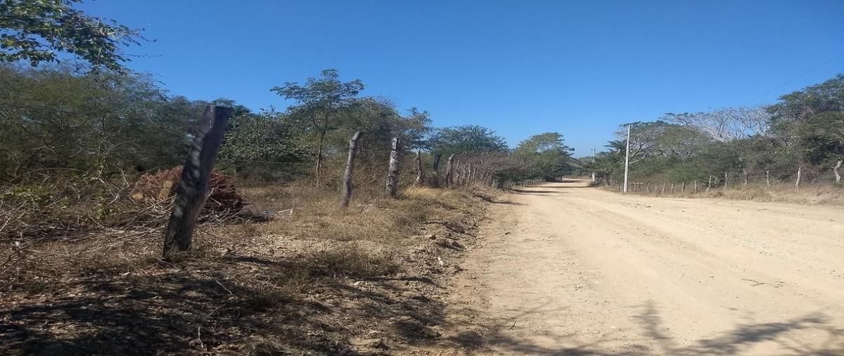 Foto de terreno habitacional en venta en mezcales 1, mezcales, bahía de banderas, nayarit, 27401721 No. 05