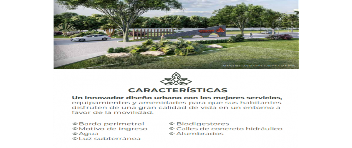 Foto de terreno habitacional en venta en  , mezcales, bahía de banderas, nayarit, 0 No. 05