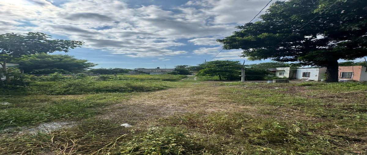 Foto de terreno habitacional en venta en  , mezcales, bahía de banderas, nayarit, 0 No. 03