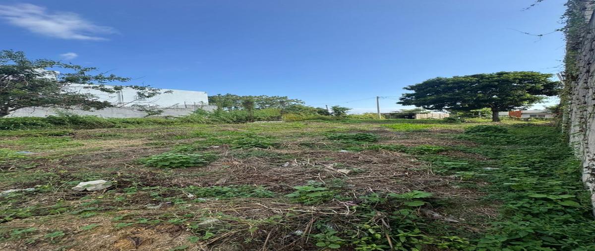 Foto de terreno habitacional en venta en  , mezcales, bahía de banderas, nayarit, 0 No. 04