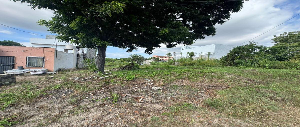 Foto de terreno habitacional en venta en  , mezcales, bahía de banderas, nayarit, 0 No. 05