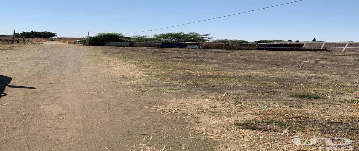 Foto de terreno habitacional en venta en mezquite 140, atlatlahucan, atlatlahucan, morelos, 29766624 No. 05