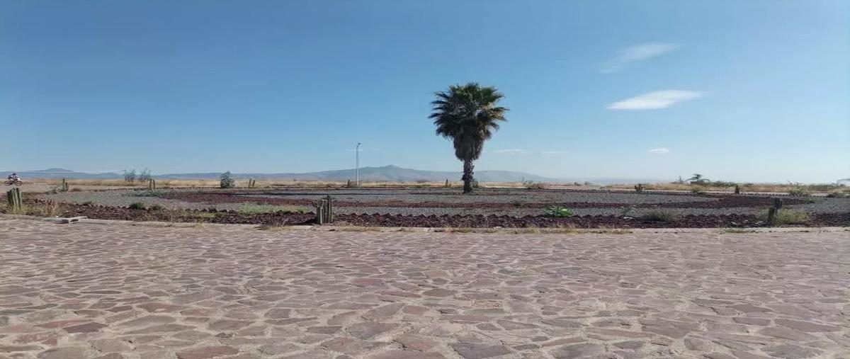 Foto de terreno habitacional en venta en  , mezquite de sotelo (plan de sotelo), silao de la victoria, guanajuato, 26791751 No. 03
