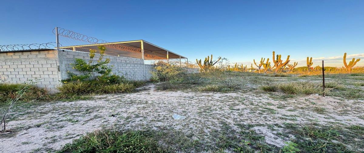 Foto de terreno habitacional en venta en mezquite , el centenario, la paz, baja california sur, 30848036 No. 03
