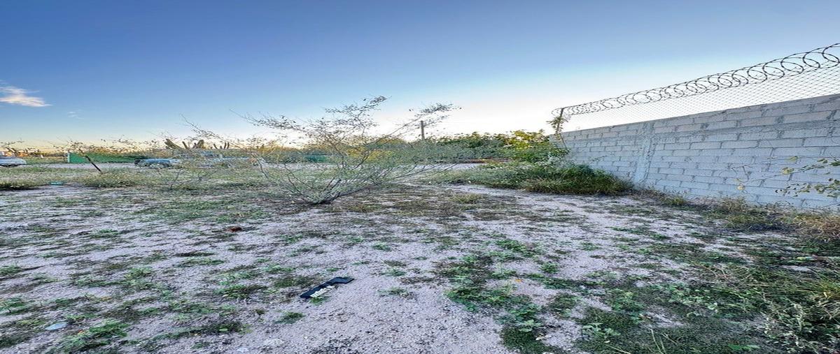 Foto de terreno habitacional en venta en mezquite , el centenario, la paz, baja california sur, 30848036 No. 04