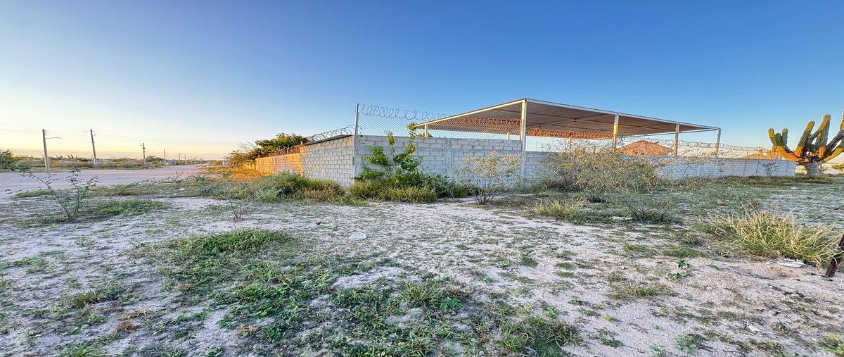 Foto de terreno habitacional en venta en mezquite , el centenario, la paz, baja california sur, 30848036 No. 05