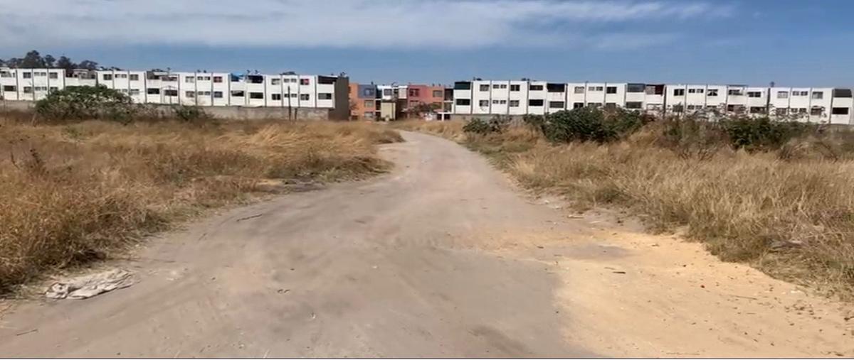 Foto de terreno habitacional en venta en mezquite sumaya y guayabo , san sebastián el grande, tlajomulco de zúñiga, jalisco, 24778977 No. 03