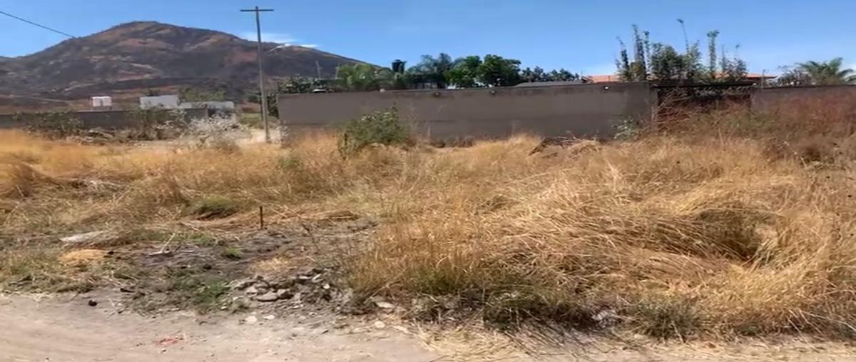 Foto de terreno habitacional en venta en mezquite sumaya y guayabo , san sebastián el grande, tlajomulco de zúñiga, jalisco, 24778977 No. 04