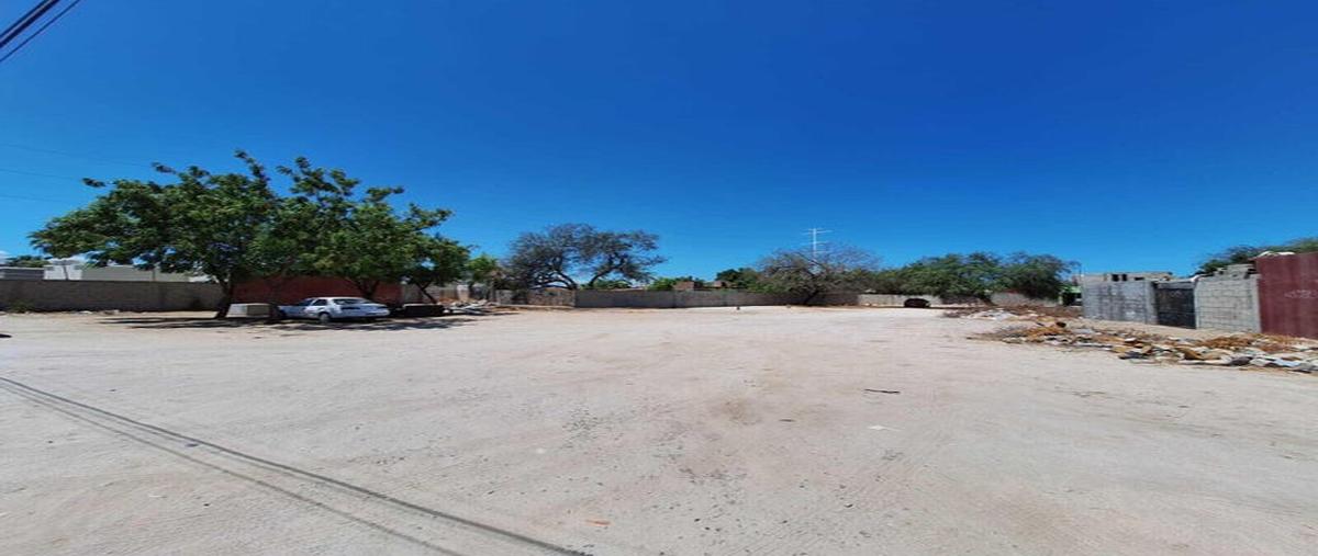 Foto de terreno habitacional en mezquitito forjadores lot sn entre tecnológico y forjadores , mezquitito, la paz, baja california sur, 29439619 foto 03 Foto de terreno habitacional en venta en mezquitito forjadores lot sn entre tecnológico y forjadores , mezquitito, la paz, baja california sur, 29439619 No. 03