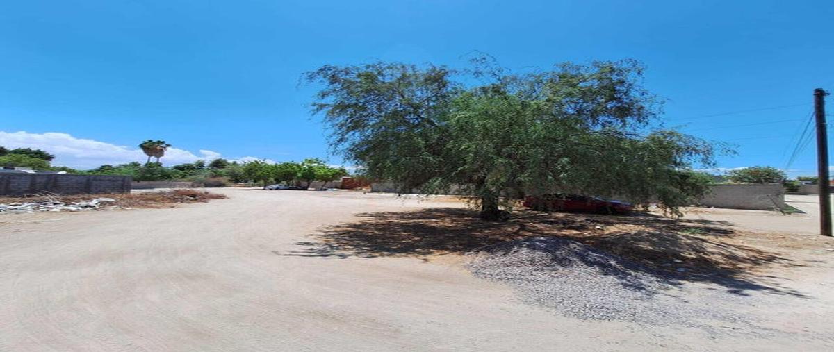 Foto de terreno habitacional en mezquitito forjadores lot sn entre tecnológico y forjadores , mezquitito, la paz, baja california sur, 29439619 foto 04 Foto de terreno habitacional en venta en mezquitito forjadores lot sn entre tecnológico y forjadores , mezquitito, la paz, baja california sur, 29439619 No. 04