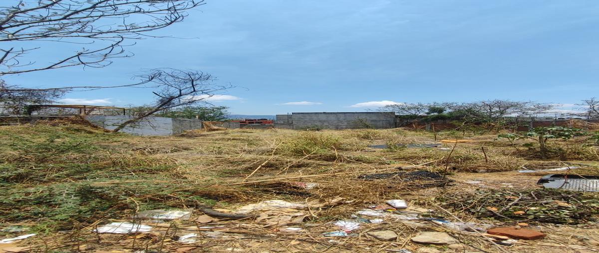 Foto de terreno habitacional en venta en  , mi ranchito, santa cruz xoxocotlán, oaxaca, 0 No. 03