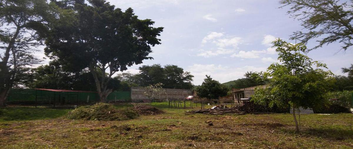 Foto de terreno habitacional en , miacatlan, miacatlán, morelos, 0 foto 03 Foto de terreno habitacional en venta en , miacatlan, miacatlán, morelos, 0 No. 03