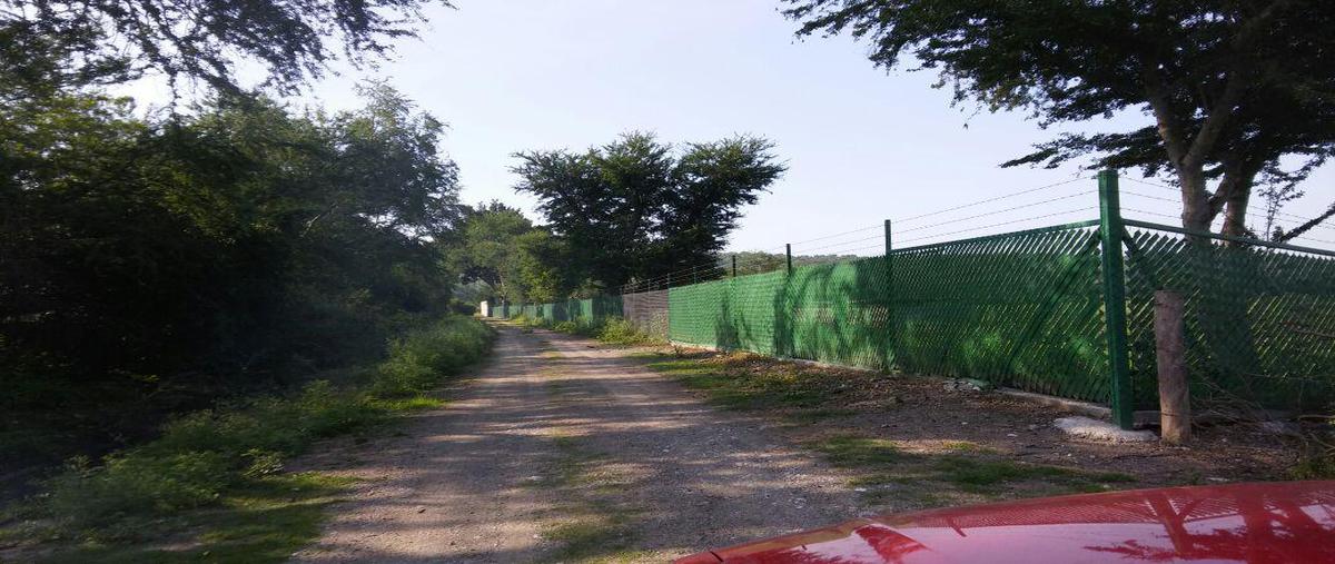 Foto de terreno habitacional en , miacatlan, miacatlán, morelos, 0 foto 04 Foto de terreno habitacional en venta en , miacatlan, miacatlán, morelos, 0 No. 04