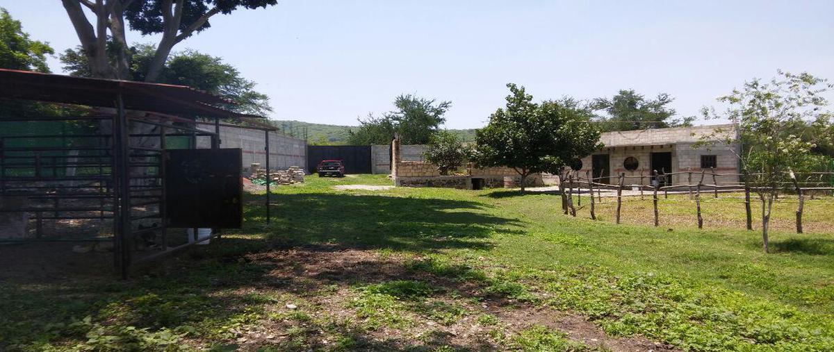 Foto de terreno habitacional en , miacatlan, miacatlán, morelos, 0 foto 05 Foto de terreno habitacional en venta en , miacatlan, miacatlán, morelos, 0 No. 05