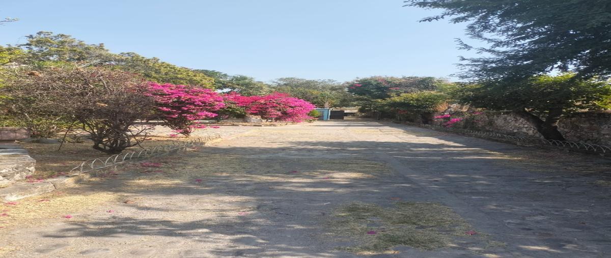 Foto de terreno habitacional en venta en  , miacatlan, miacatlán, morelos, 31090660 No. 03