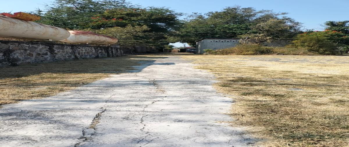 Foto de terreno habitacional en venta en  , miacatlan, miacatlán, morelos, 31090660 No. 04