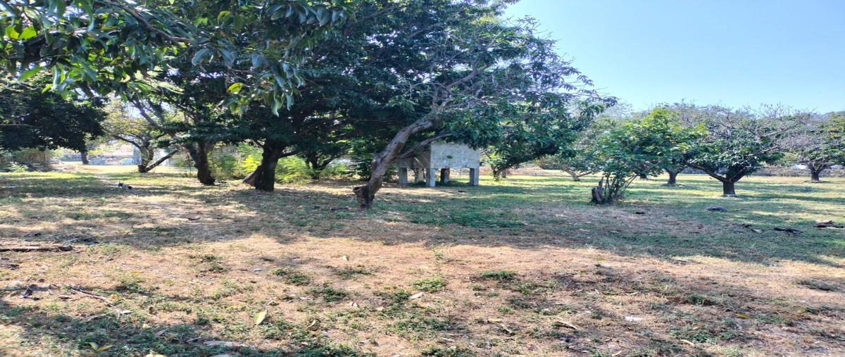 Foto de terreno habitacional en venta en  , miacatlan, miacatlán, morelos, 31090660 No. 05