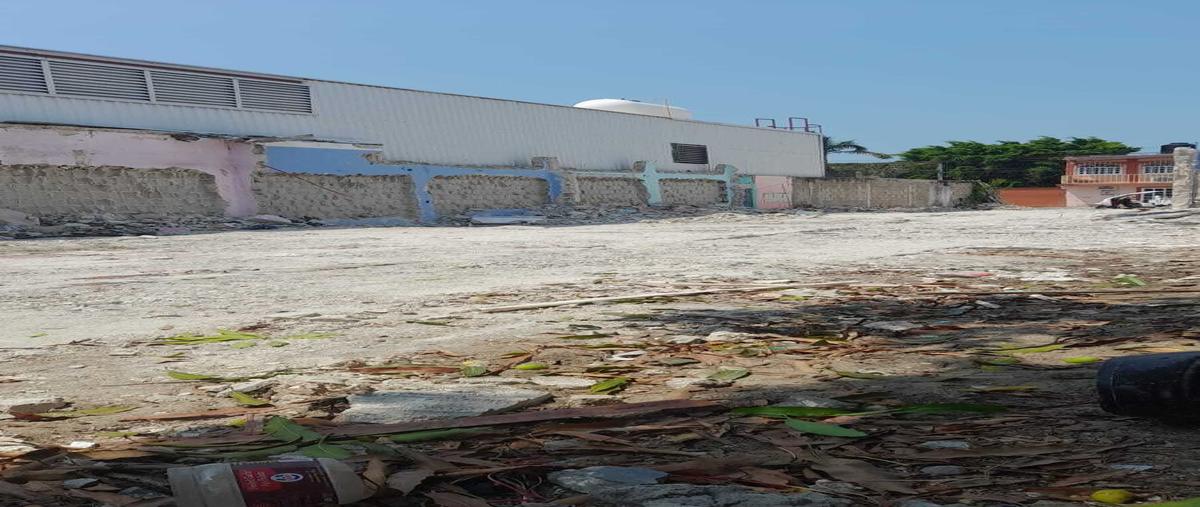 Foto de terreno habitacional en miami , miami, carmen, campeche, 0 foto 02 Foto de terreno habitacional en venta en miami , miami, carmen, campeche, 0 No. 02