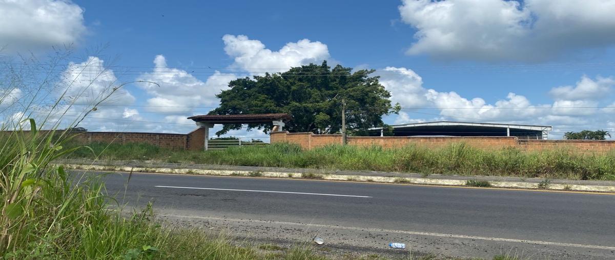 Foto de terreno habitacional en venta en  , michapan, acayucan, veracruz de ignacio de la llave, 27189674 No. 03