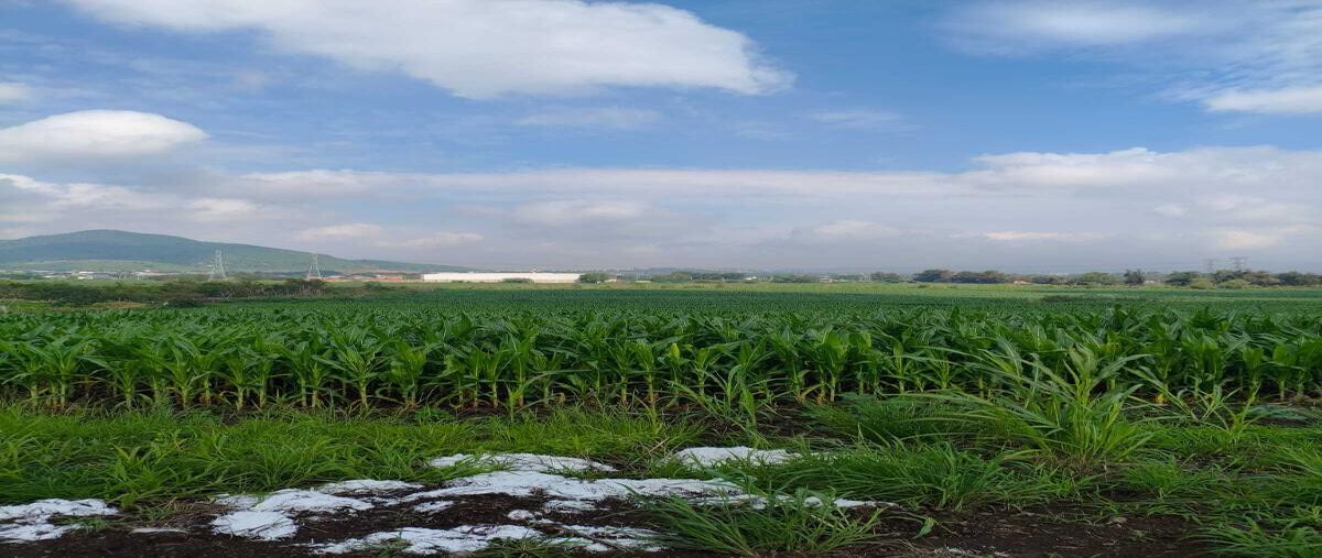 Foto de terreno habitacional en venta en michel gonzalez , san sebastián el grande, tlajomulco de zúñiga, jalisco, 0 No. 02