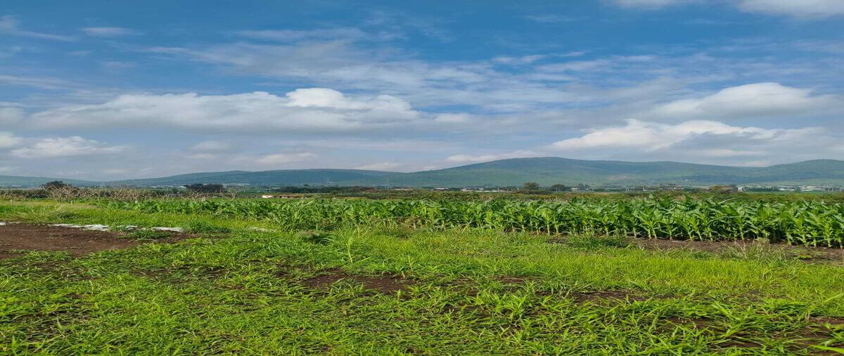 Foto de terreno habitacional en venta en michel gonzalez , san sebastián el grande, tlajomulco de zúñiga, jalisco, 0 No. 03