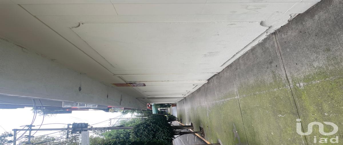 Foto de local en michelet 116, anzures, miguel hidalgo, df / cdmx, 31600304 foto 05 Foto de local en renta en michelet 116, anzures, miguel hidalgo, df / cdmx, 31600304 No. 05